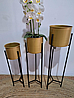 ������� �������� ����� ���� ����� ��� ��� ����