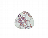 ����� ��� ������� ��� ��� ����� �����