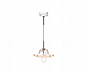 ����� ��� ����� ������ ����� �����